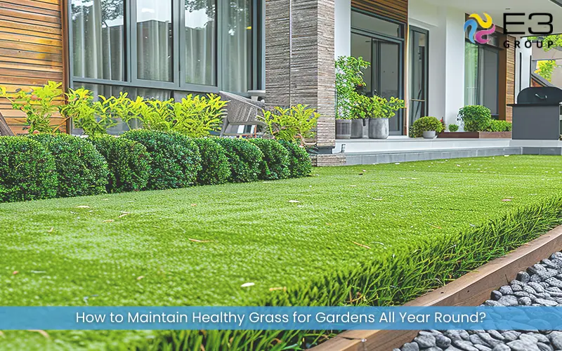 How to Maintain Healthy Grass for Gardens All Year Round