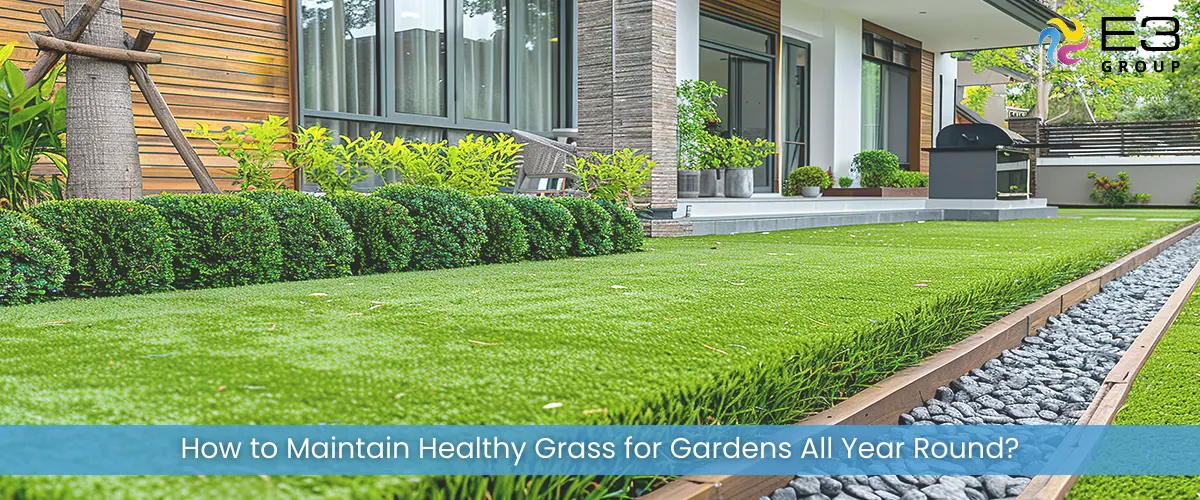 How to Maintain Healthy Grass for Gardens All Year Round